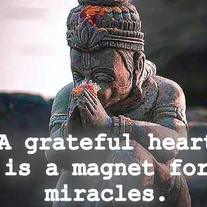 Meet your Posher, Alison